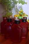 Olej dziurawcowy do masażu 2x90 ml