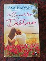 Ao Encontro do Destino - de Amy Hatvany - BARATÍSSIMO