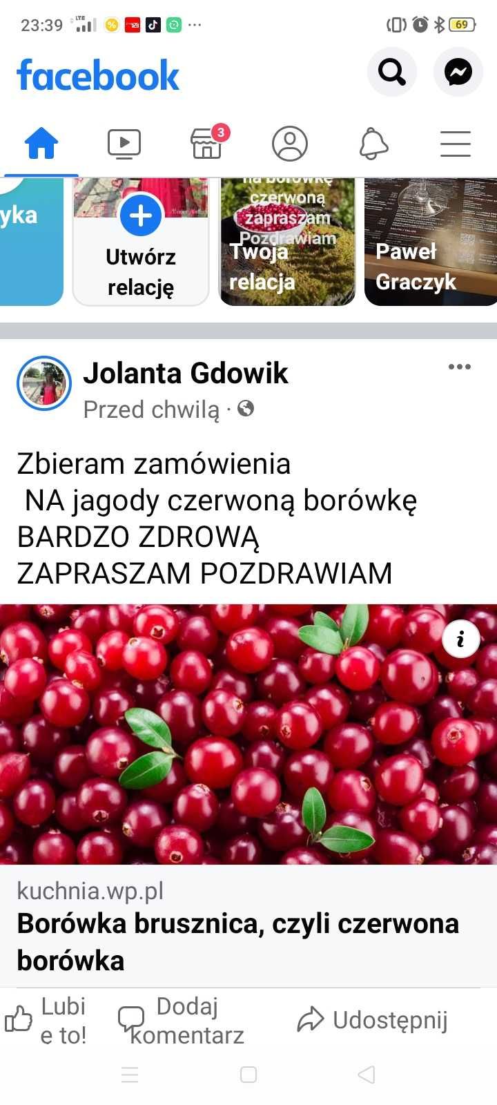 Jagoda Czerwona leśna inaczej brusznica