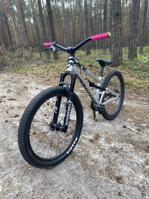 Dartmoor shine pro 2025