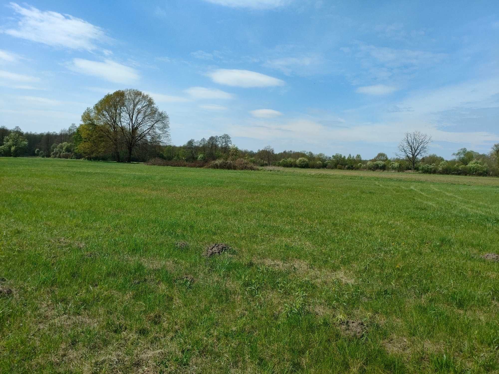 Działka 1000m2 sprzedam