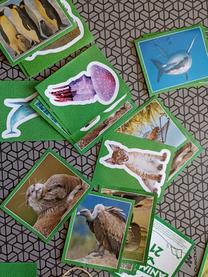 Cromos National Geographic Kids da Topps