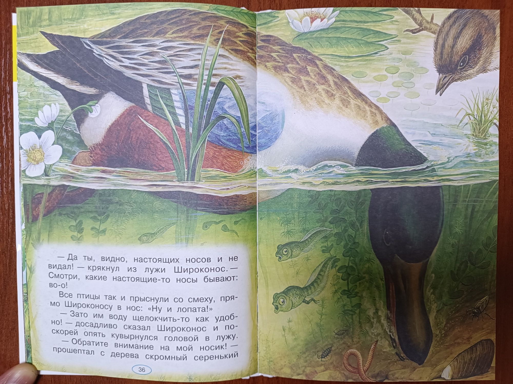Дитяча книга "Розповіді про природу"