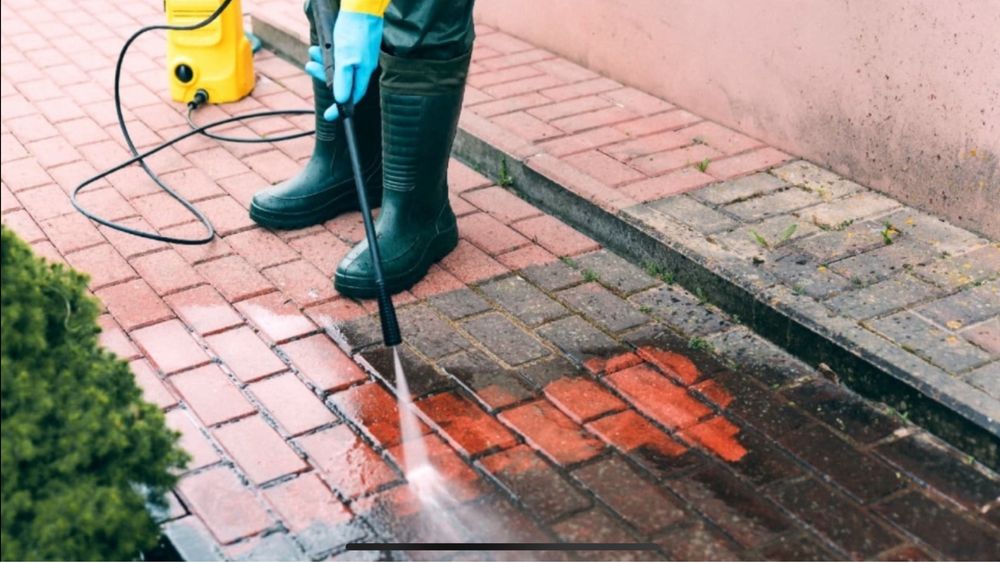Arborysta wycinka drzew na wysokosci i nie tylko pielęgnacja drzew