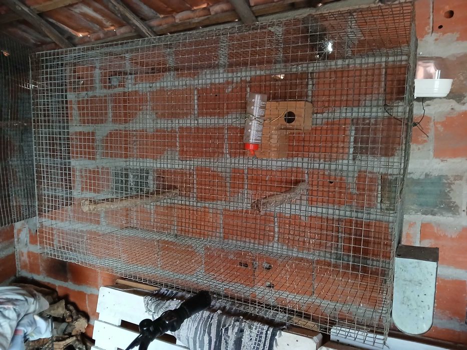 Gaiola grande ou viveiro