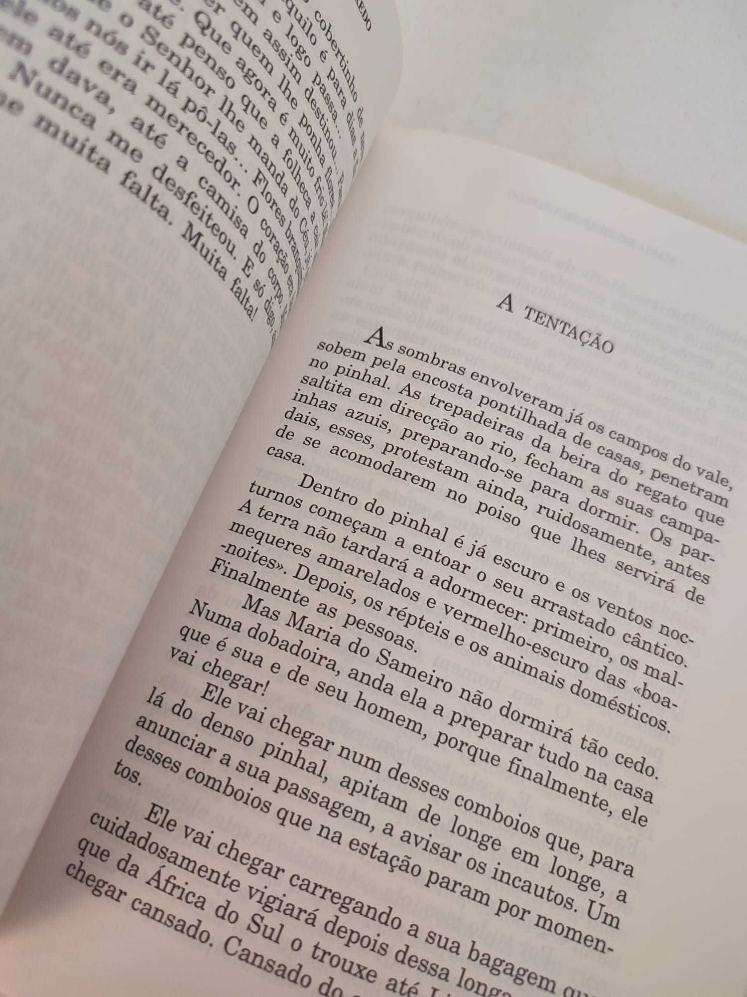 Livro - Uma Terra, Outra Terra