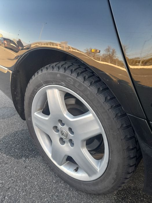 Продам "японського кабана"