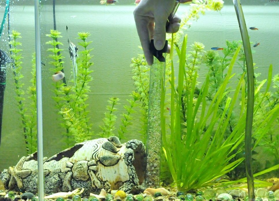 Обслуживание  аквариумов запуск чистка аквариума