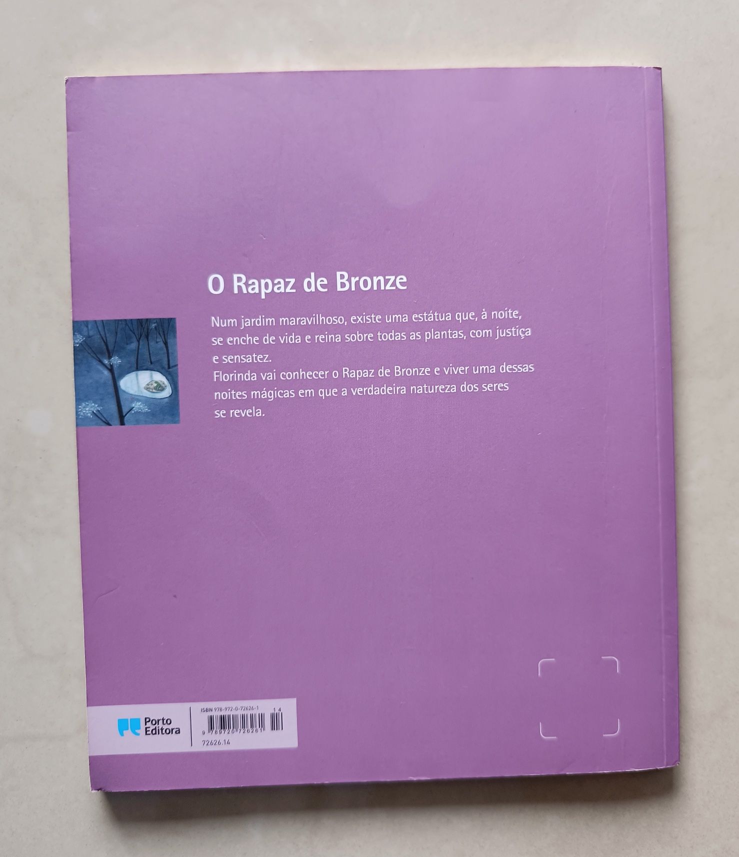 Livro "O Rapaz de Bronze"