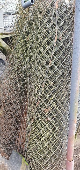 Siatka siatka siatka