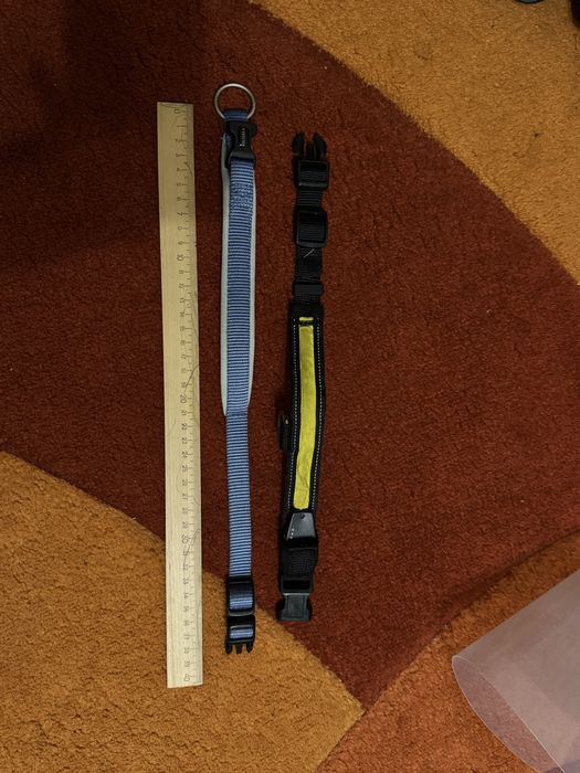 два нашийники для собак