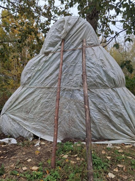 Sprzedam bele słomy