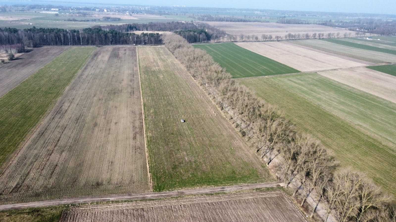 Działka rolno-budowlana 3000m² Chrząstowo Wrzosowo