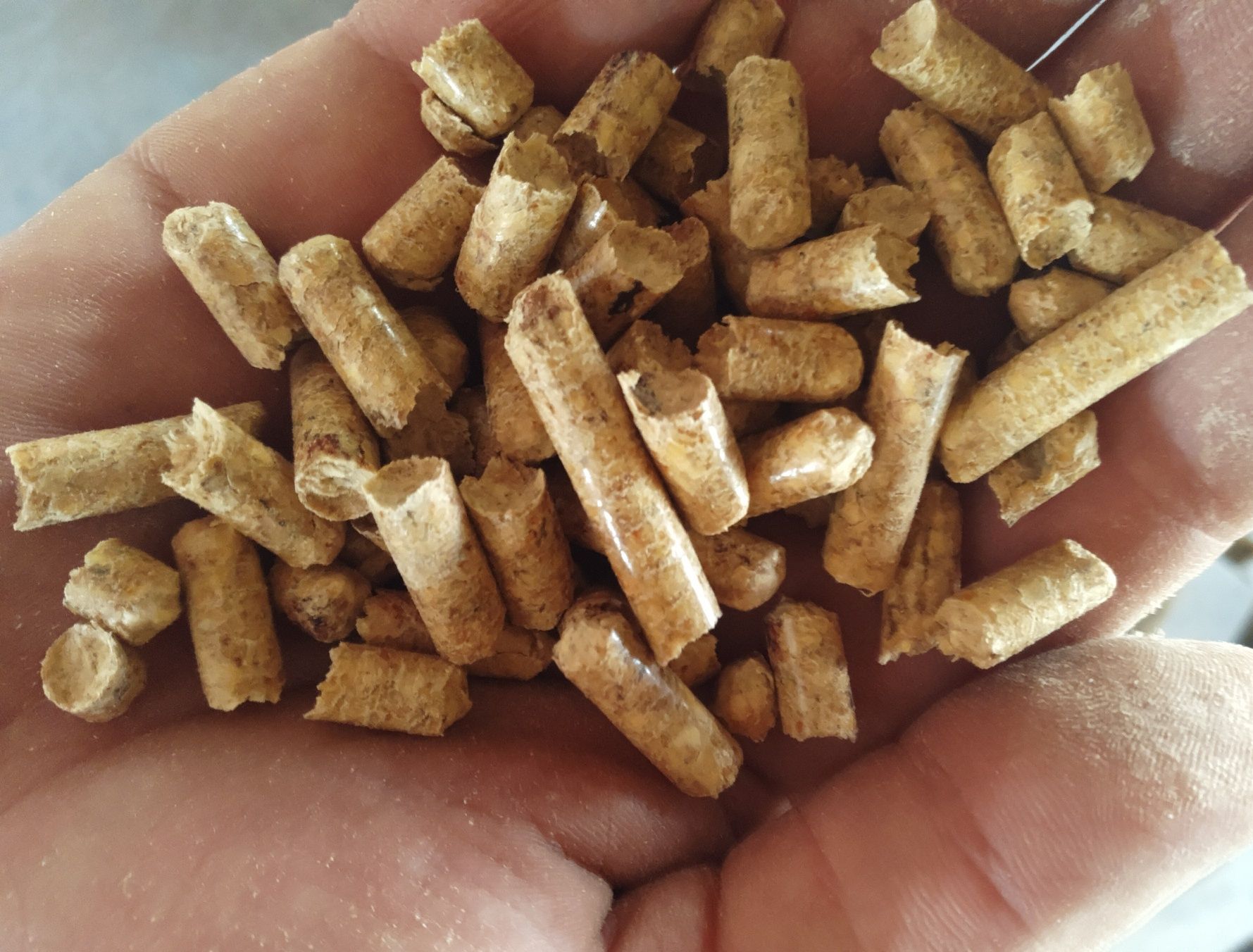 Pellet Pelet Pellety Opał Brykiet Olczyk Sylva Lava Rezult Eko Eko-Man