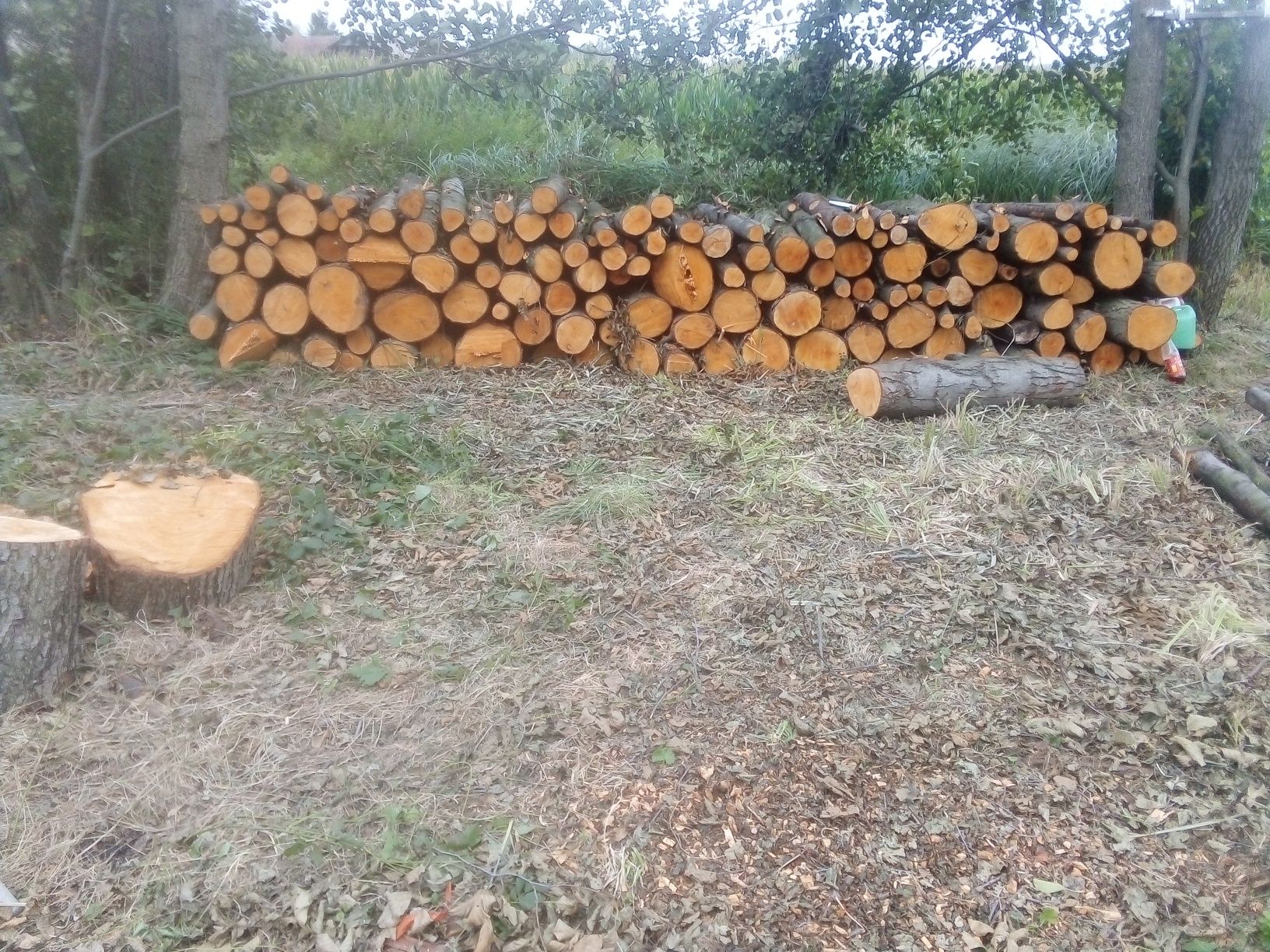 Drzewo  opałowe, kominkowe