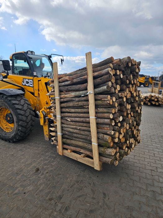 Paliki melioracyjne, pastuch dębowe dł 1,0-3,0m DĄB DAB DrewKom