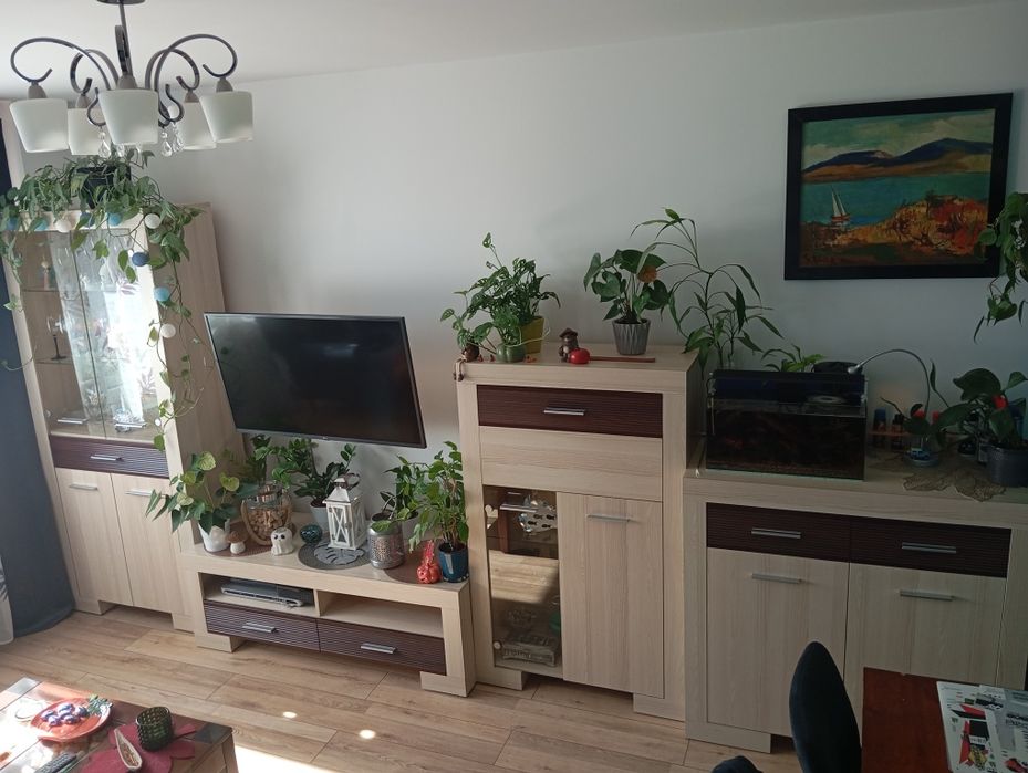 Zestaw mebli do salonu, meble salon, meblościanka