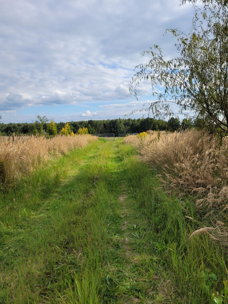 Działka budowlana 1000m2 gm. Puszcza Mariańska