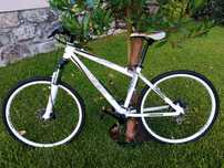 Bicicleta Weed / Sweep