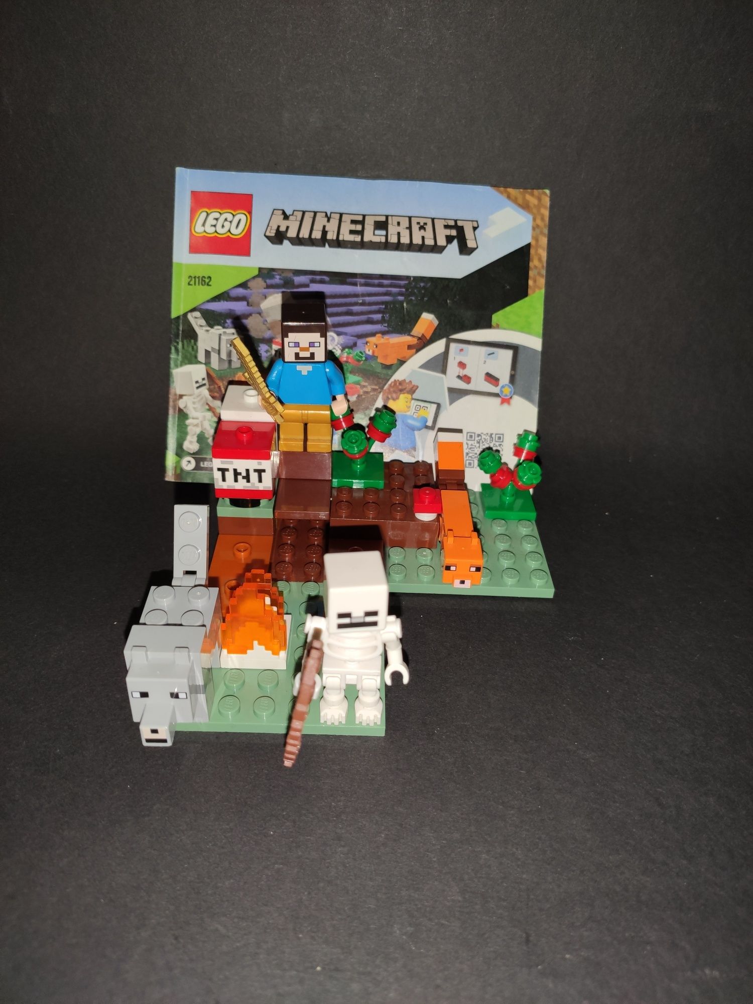 LEGO Minecraft Zestaw 21162 The Taiga Adventure