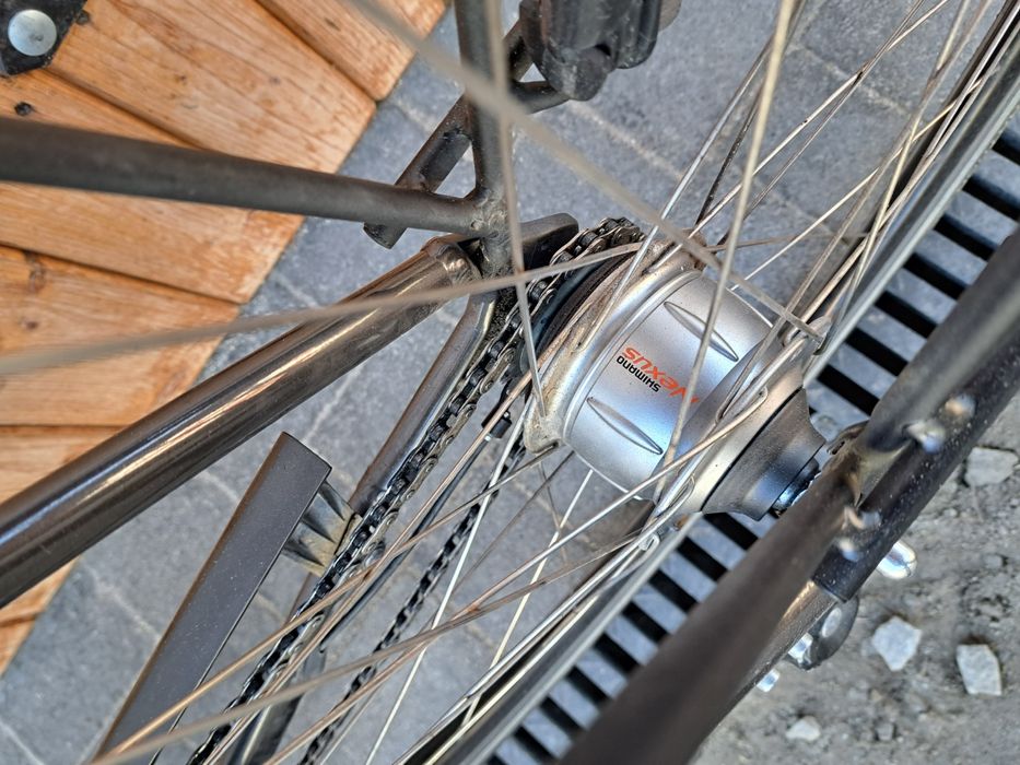 Rower elektryczny Raleigh Dover napęd centralny Gazelle Impulse L 55