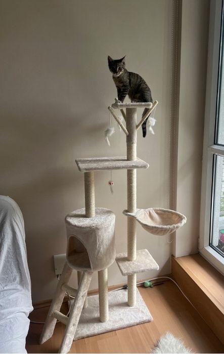 Drapak dla kota NOWY 5 poziomów wysoki 138cm wieża domek