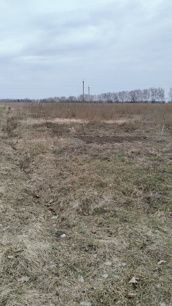 Продам 1/2 будинку с Савин (60 км від Києва)