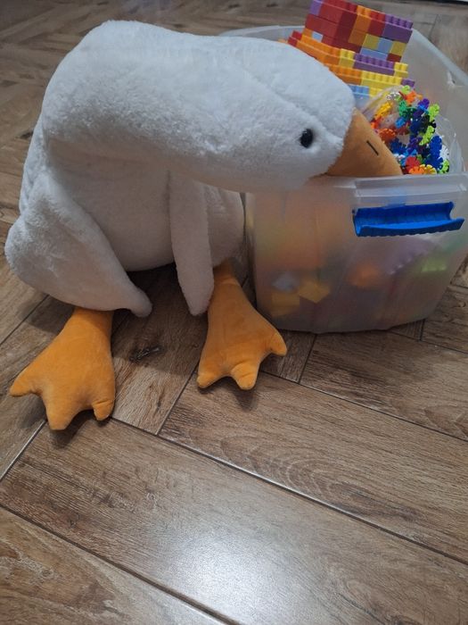 Duże pudło klocków i duża gęś.