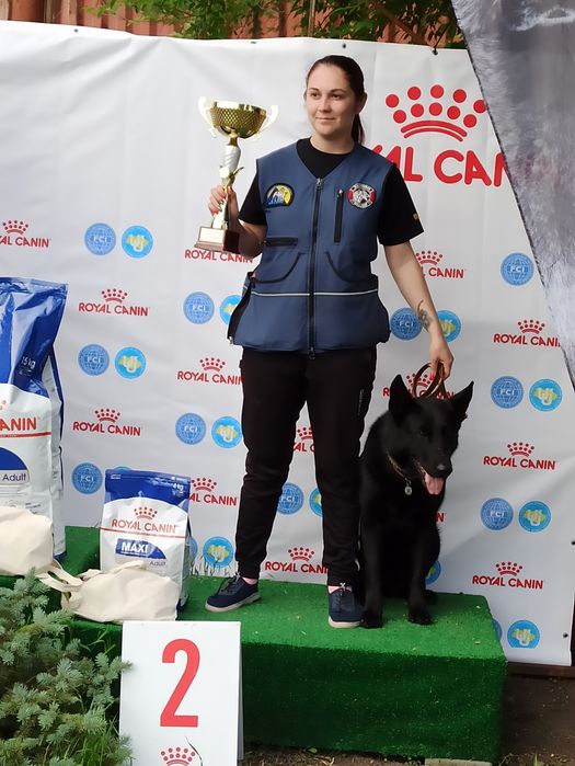 Дресирування собак, кінолог