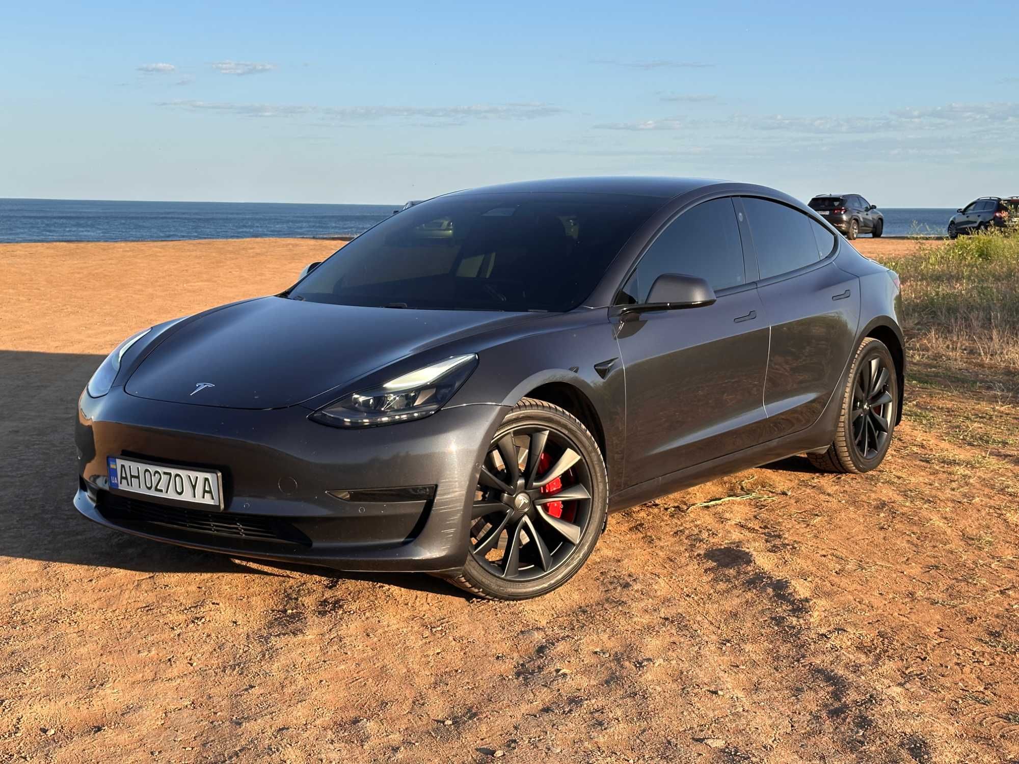 Tesla Model 3 Performance 2020 (Steel Grey PMNG)