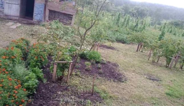 Продам або здам в оренду на довготривалий термін будинок від власника