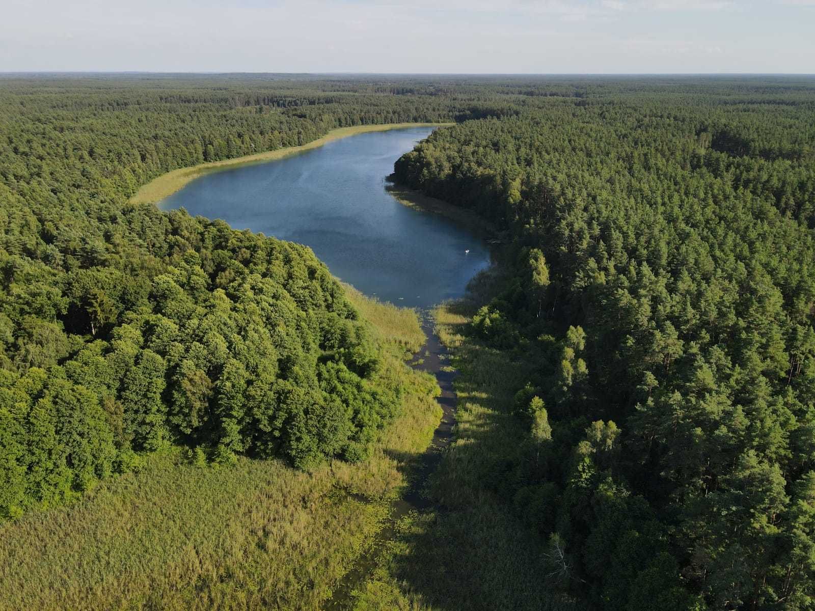 Mazury, domek z kominkiem, pierwsza linia brzegowa