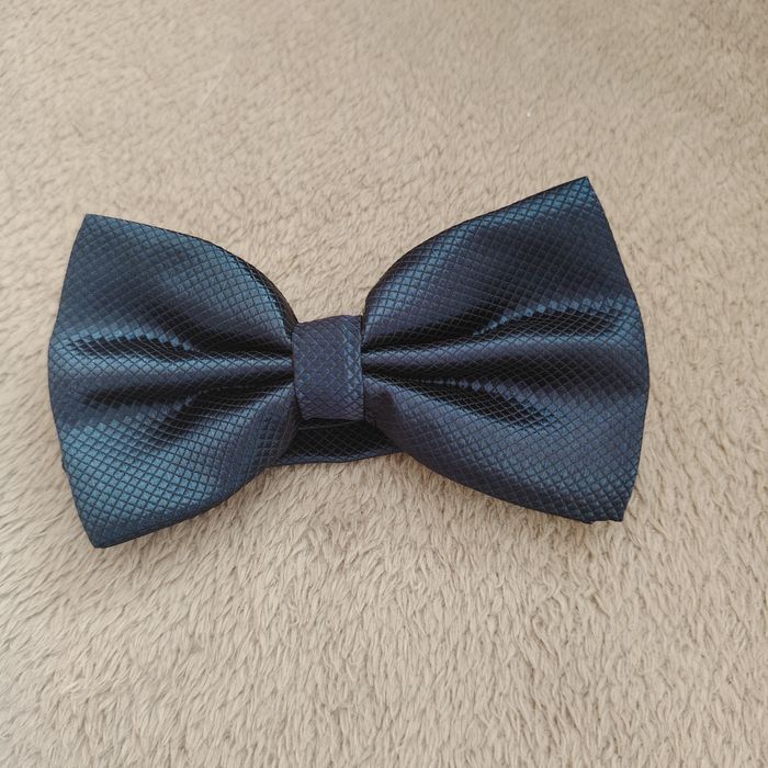 Muszka granatowa w krateczkę