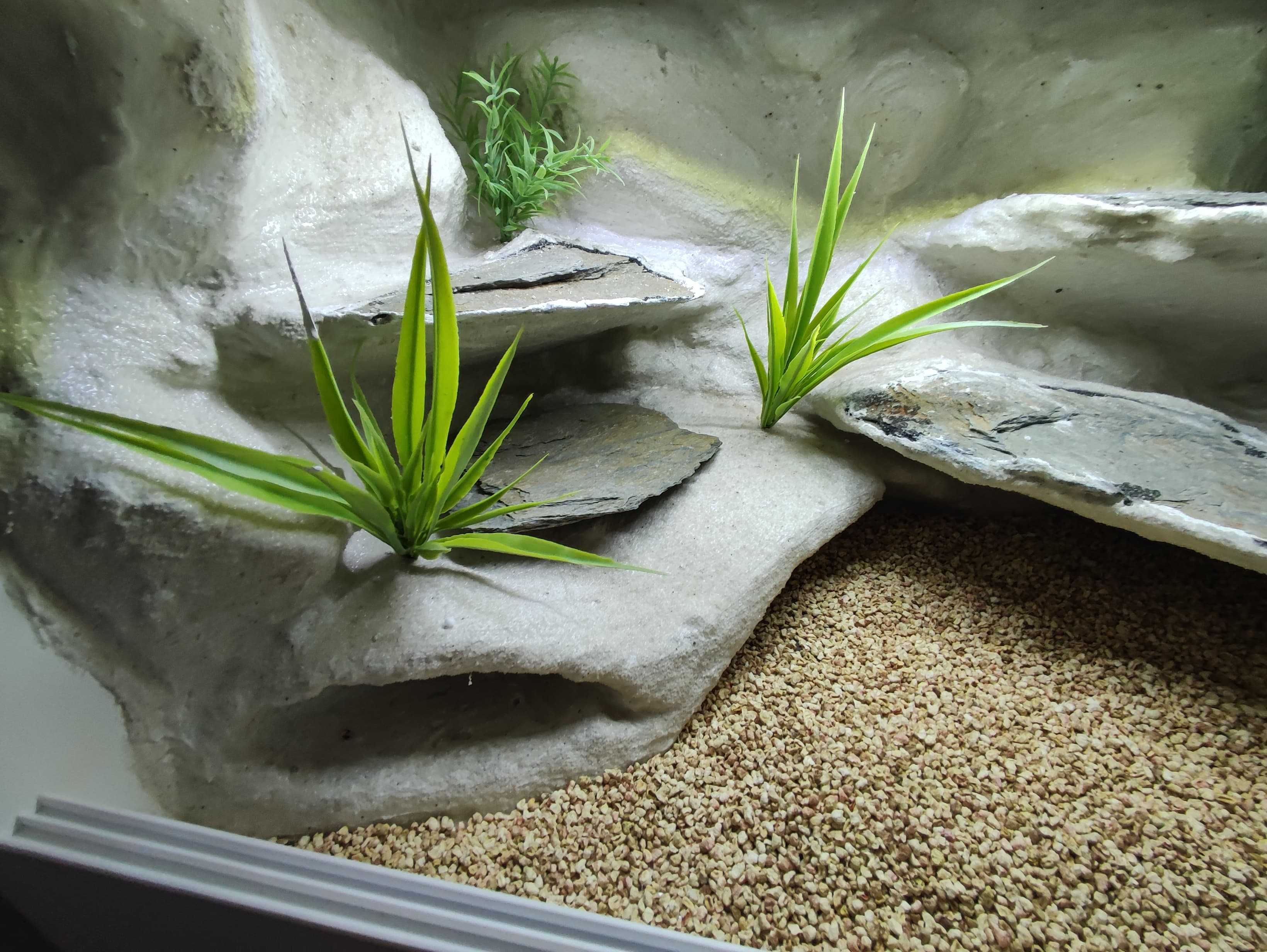 Terrarium pustynne nr711 60/40/40 dla gekona lamparciego DOSTĘPNE