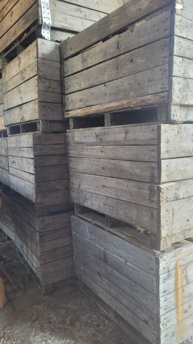 Skrzyniopalety drewniane na warzywa owoce drewno, solidne 250 szt.