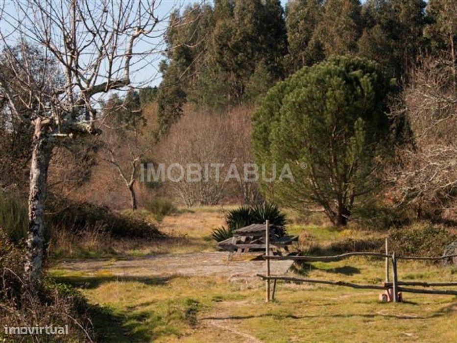 Terreno situada no centro de Portugal, perto da vila de Tábua.