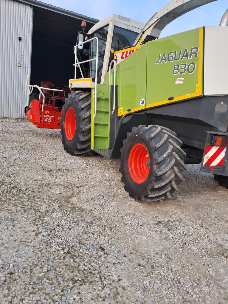 Sieczkarnia Claas Jaguar 830