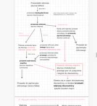 Anatomia + histologia zwierząt | notatki | weterynaria