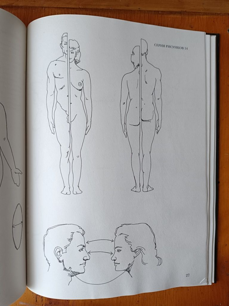 Анатомия Человеческое тело рисунок