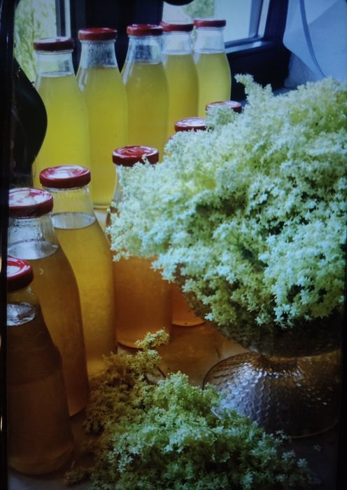 Sprzedam syrop z kwiatów czarnego bzu