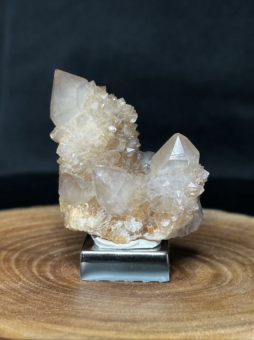 Kwarc kaktusowy, limonit - RPA