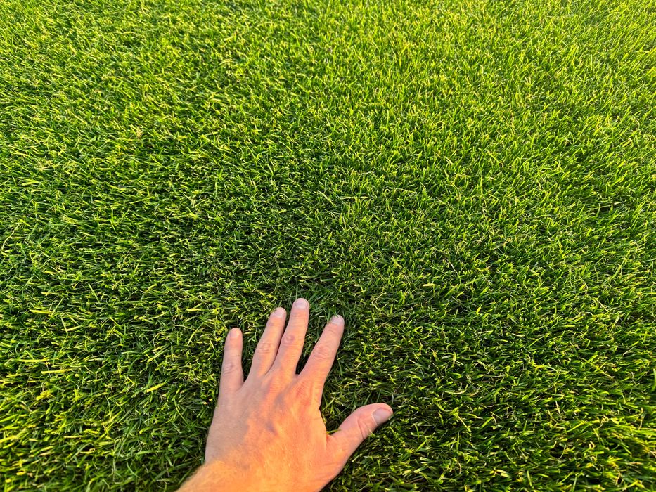 Trawa z rolki z usługą rozwinięcia poznań producent