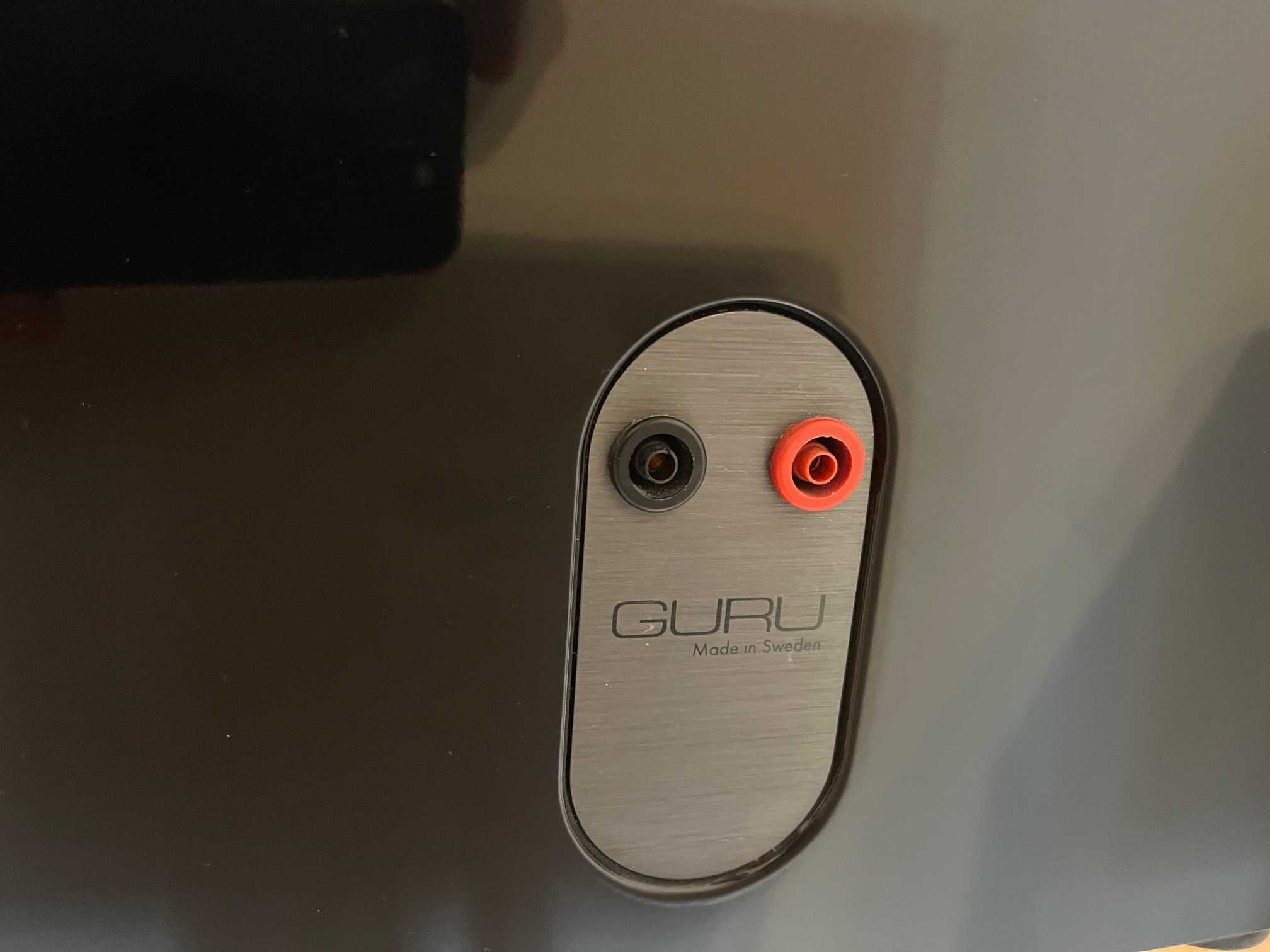 Kolumny podstawkowe Guru Q10 – Hi-End z potężnym brzmieniem!