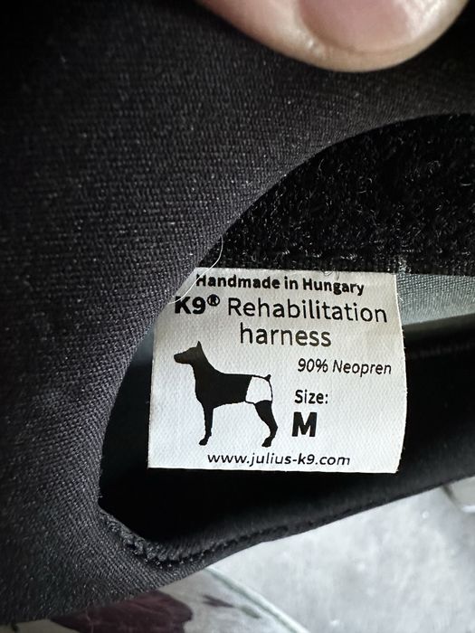 Реабілітаційний ремінь для собак  – задній