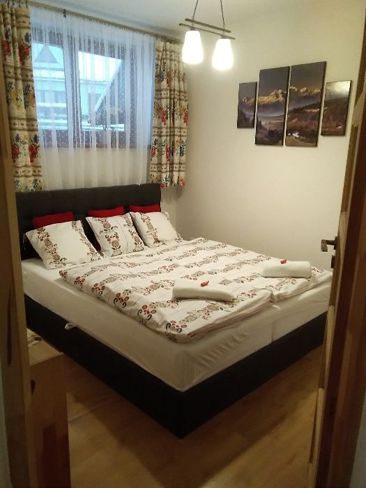 WOLNY APARTAMENT 2-10 os. Centrum ,blisko Dworca PKP PKS - widok TATRY