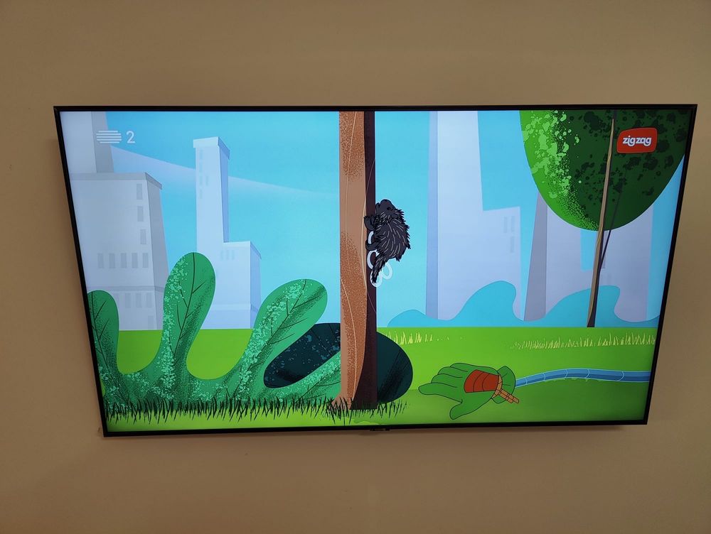 TV Samsung 55”_Smart TV_