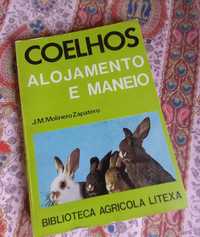 Manual de criação de coelhos