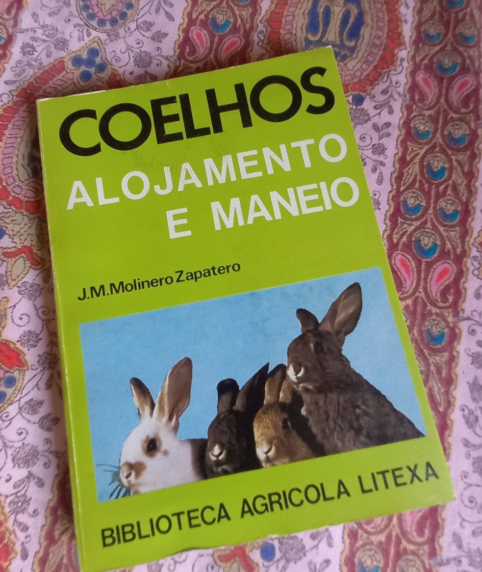 Manual de criação de coelhos