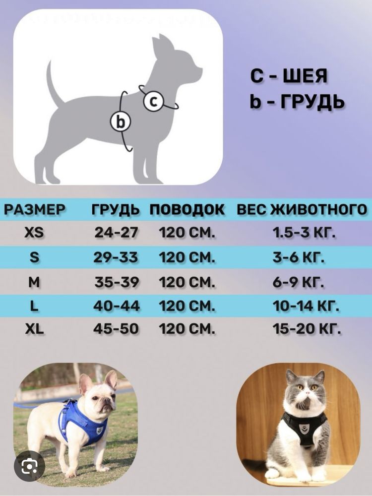 Шлейка для котов и собак