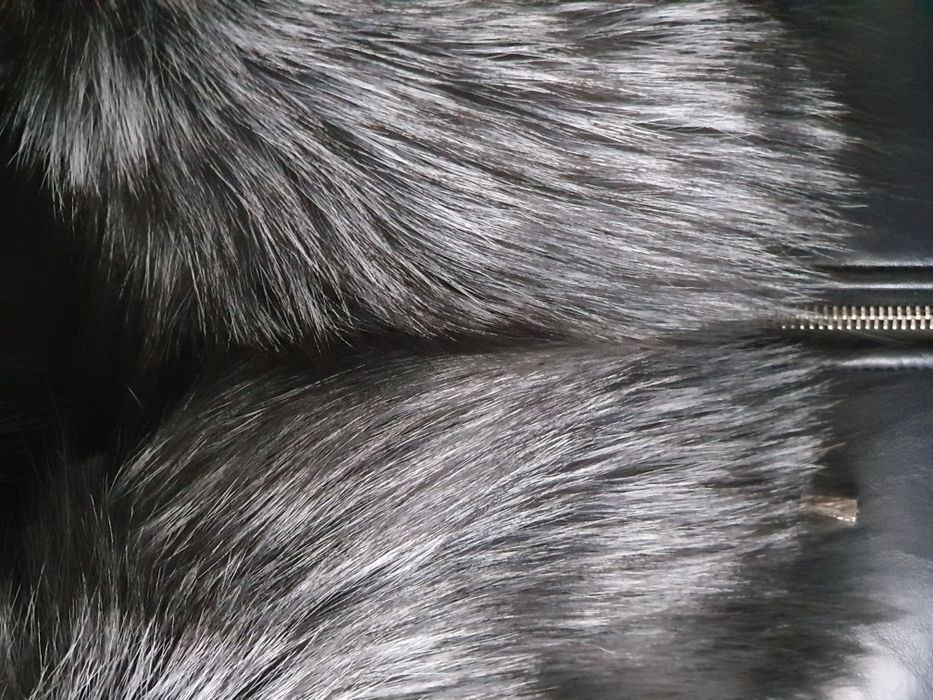 Kołnierz czarny lis